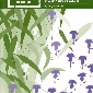 Stop Bushland Weeds<br> $32.50